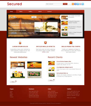 安全无木马的ddos攻击工具